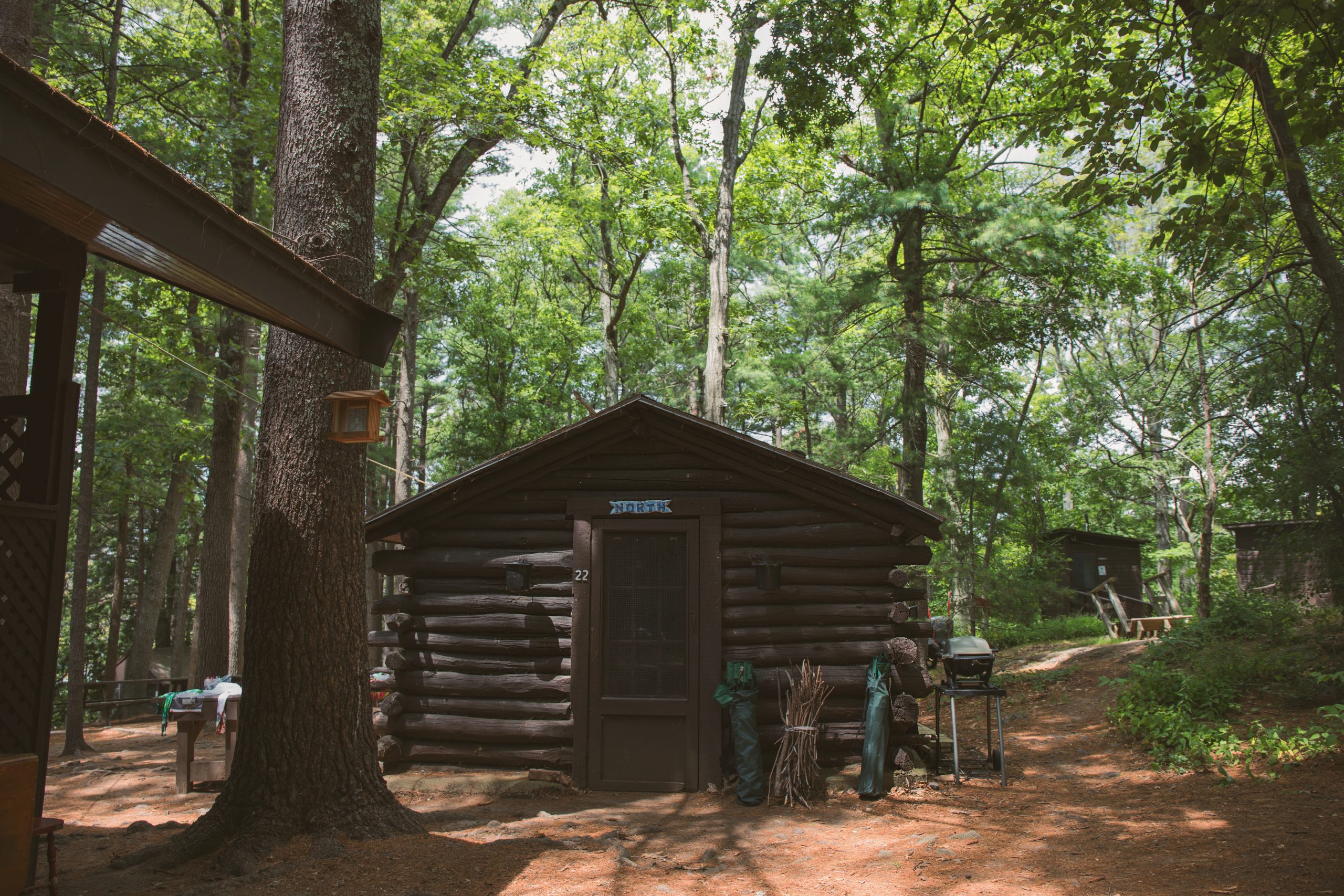 Aug. 2, 2019. AMC Ponkapoag Camp, Blue Hills Reservation, Massachusetts-- Photo by Paula Champagne. Paula Champagne