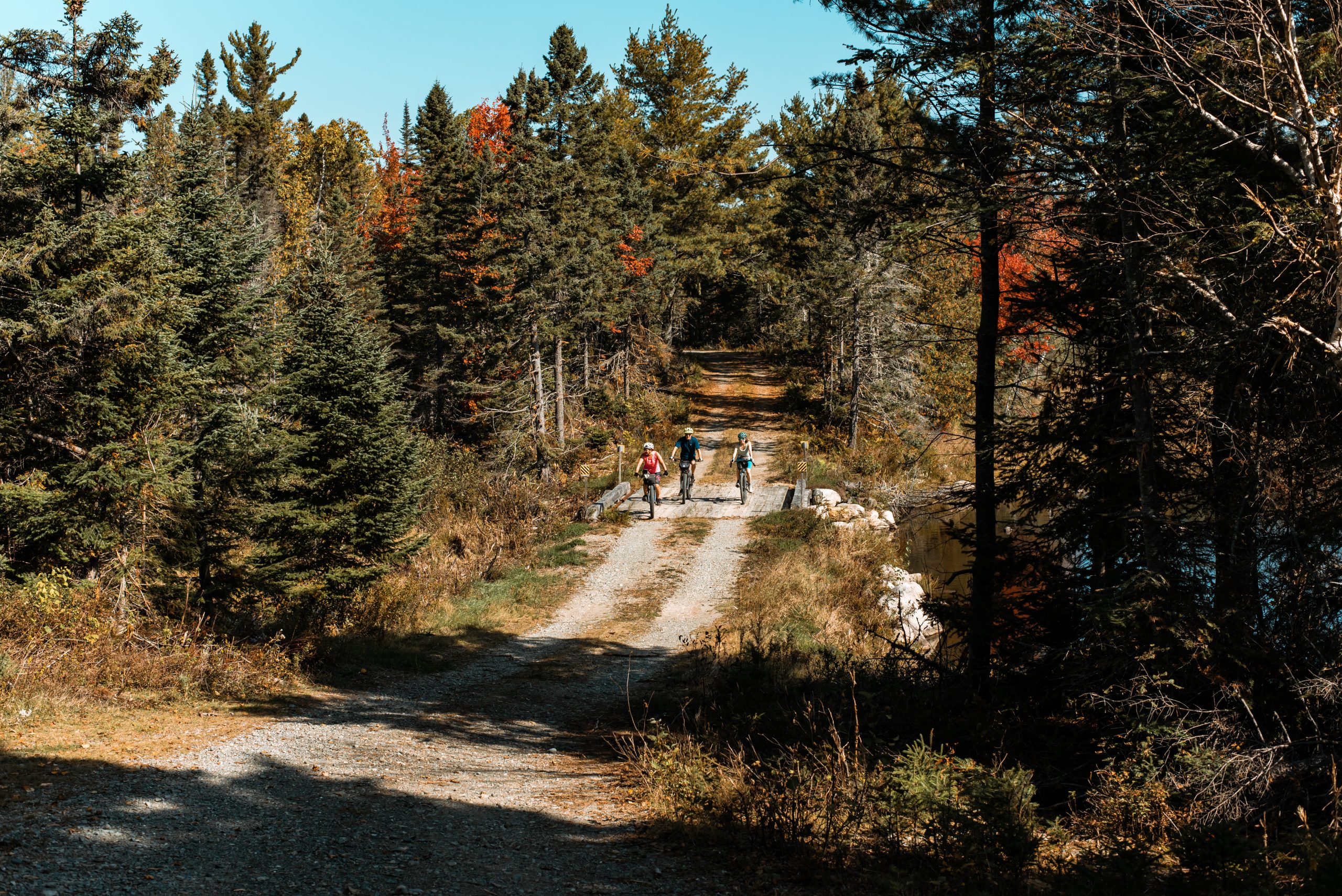Oct. 1, 2023. Emmit Brook Trail, Maine Woods, Maine-- Photo by Garrick Hoffman. Garrick Hoffman