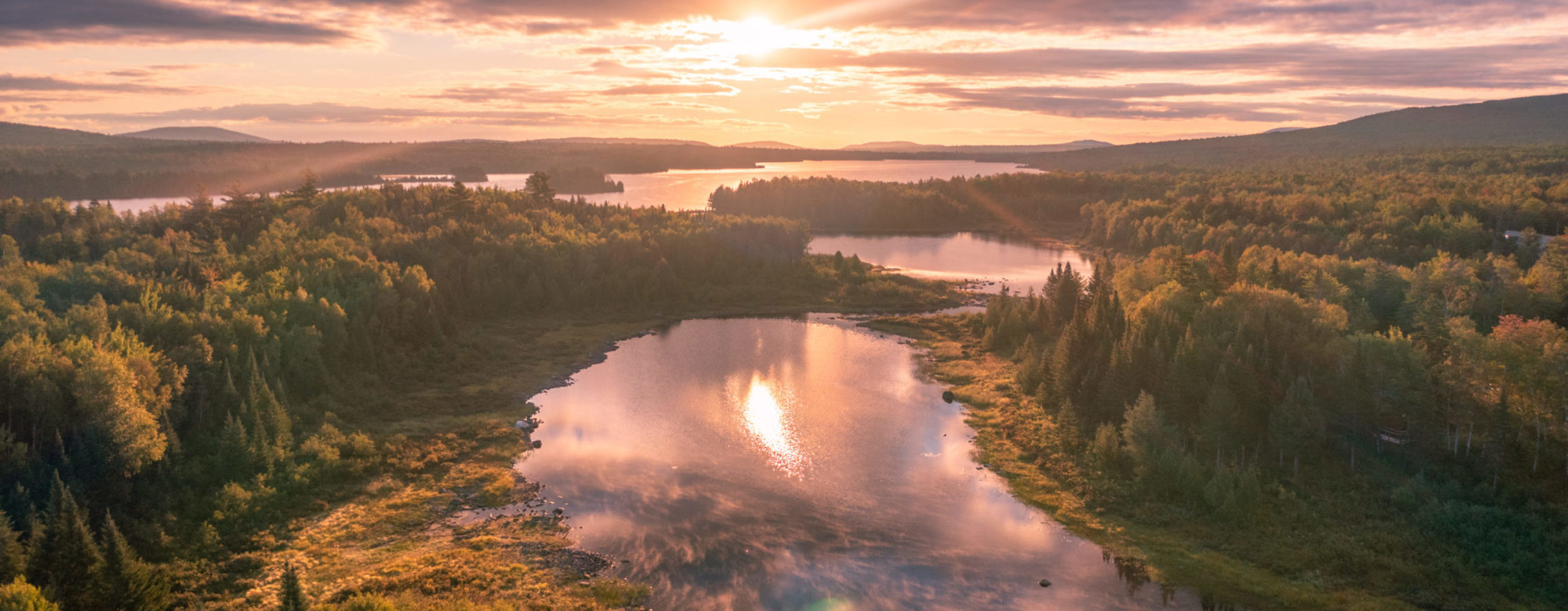 Sept. 1, 2021. Maine Woods, Maine– Photo by Jamie Malcolm Brown. Sept. 1, 2021. Maine Woods, Maine-- Photo by Jamie Malcolm Brown.
