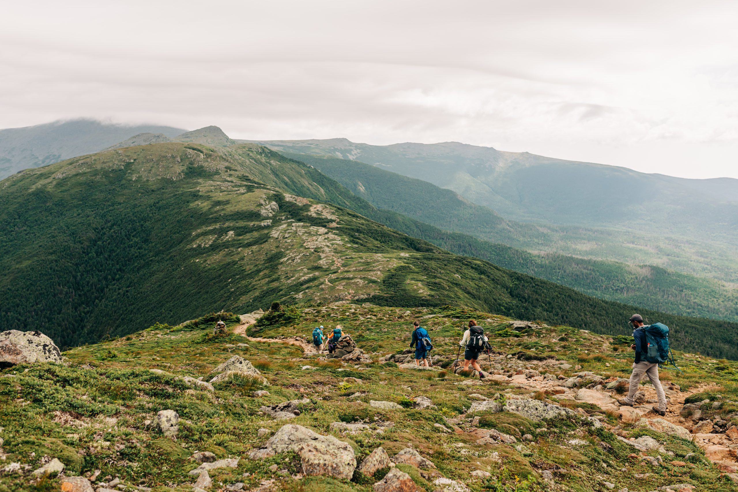 July 22, 2022. Crawford Path, Presidential Range, White Mountain National Forest, New Hampshire-- A Boston Chapter hut-to-hut trip. Photo by Corey David Photography. Dsc6032.jpg