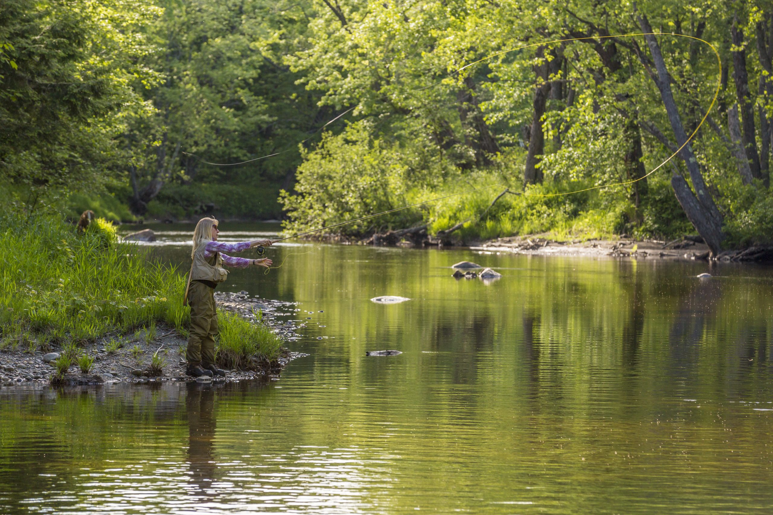 Jun. 14, 2017. Pleasant River Headwaters Forest, Maine-- Photo by Jerry Monkman. Googledrive/photo Selects/monkman Silver Lake