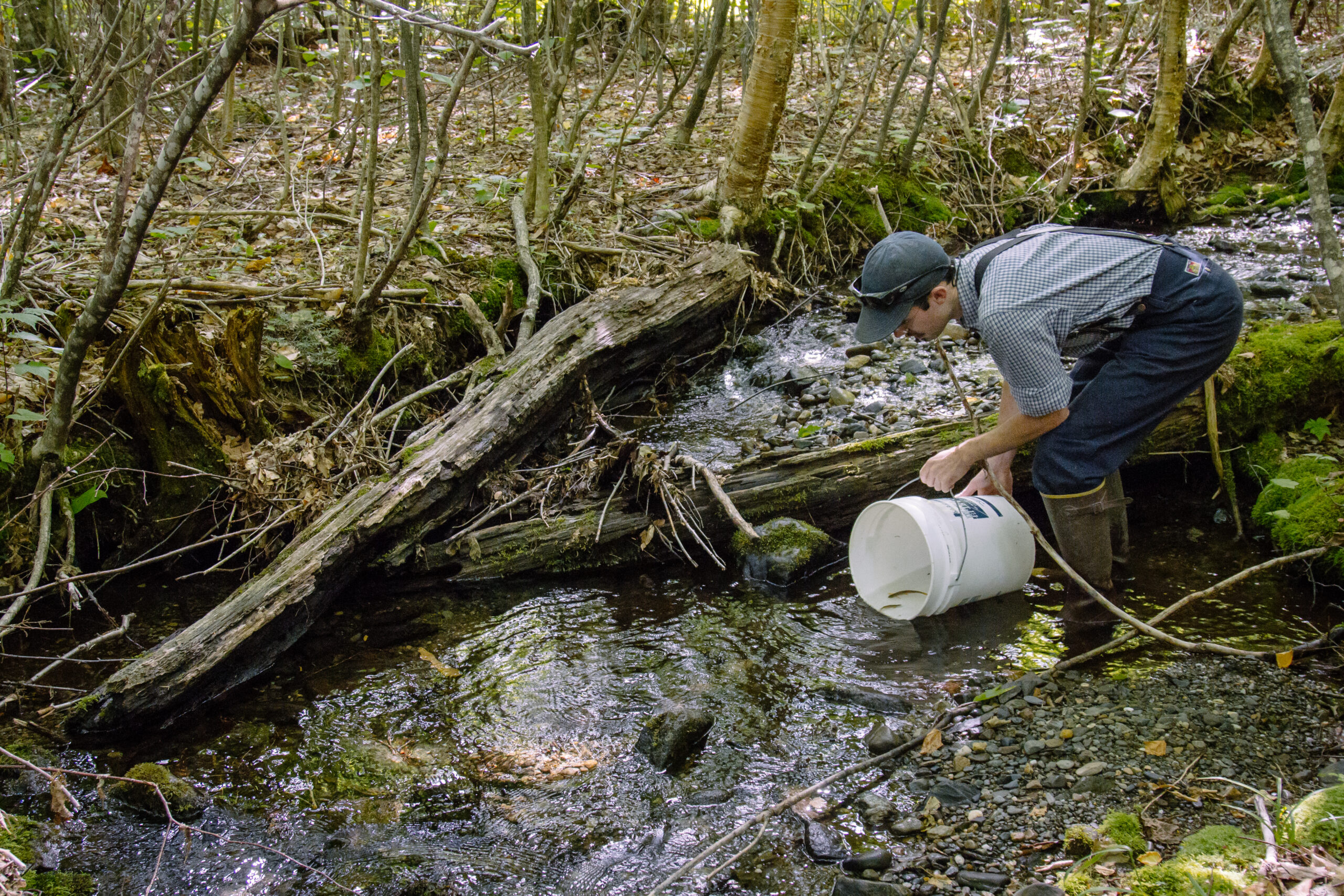 Aug. 1, 2016. Maine Woods, Maine-- Ecological restoration involving fish release. Steve Tatko (Director of Maine Conservation and Land Management). Photo by Garrett English. Photo by Garrett English.