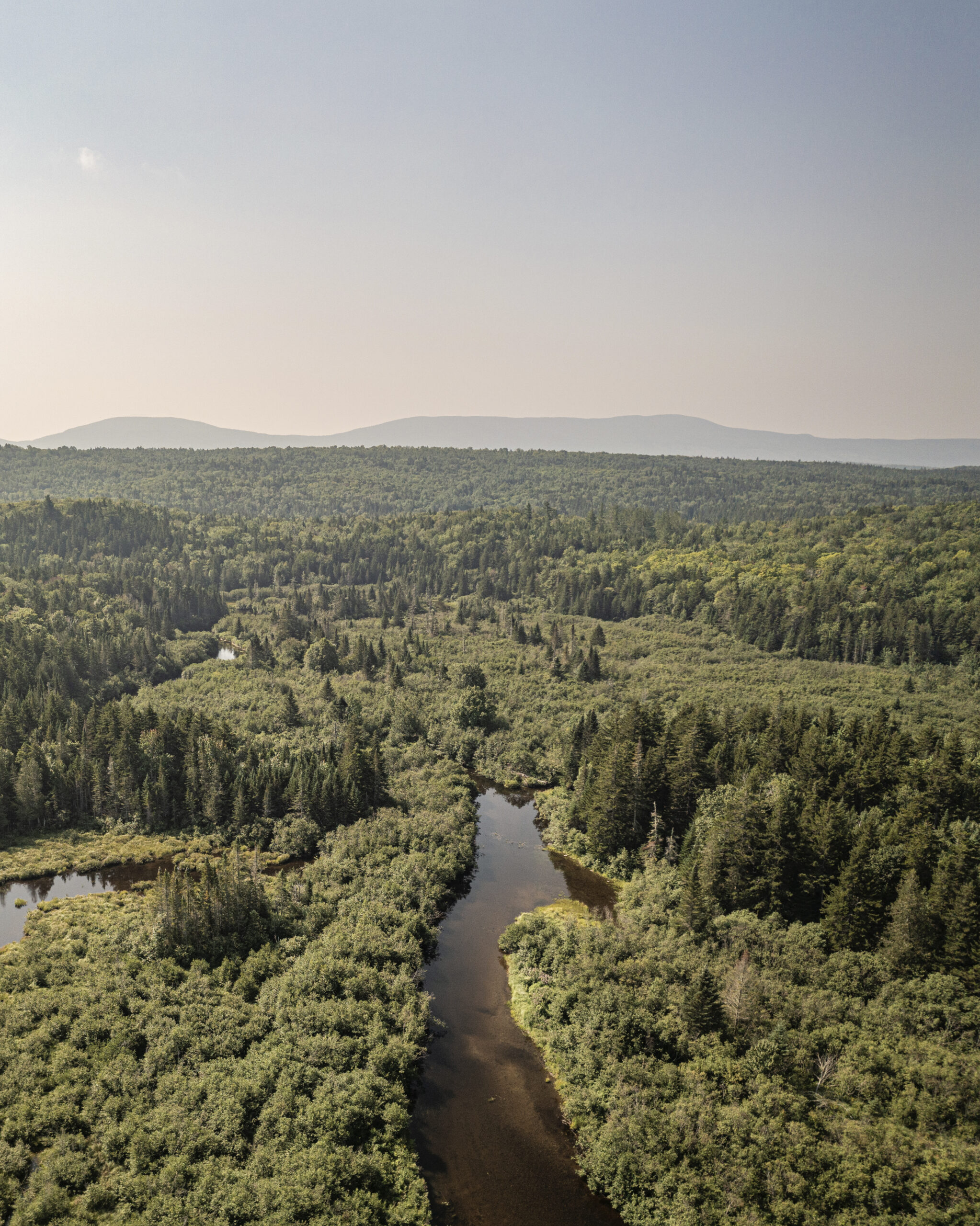 Aug. 6, 2021. Maine Woods, Maine-- Photo by Isaac Crabtree. Isaac Crabtree