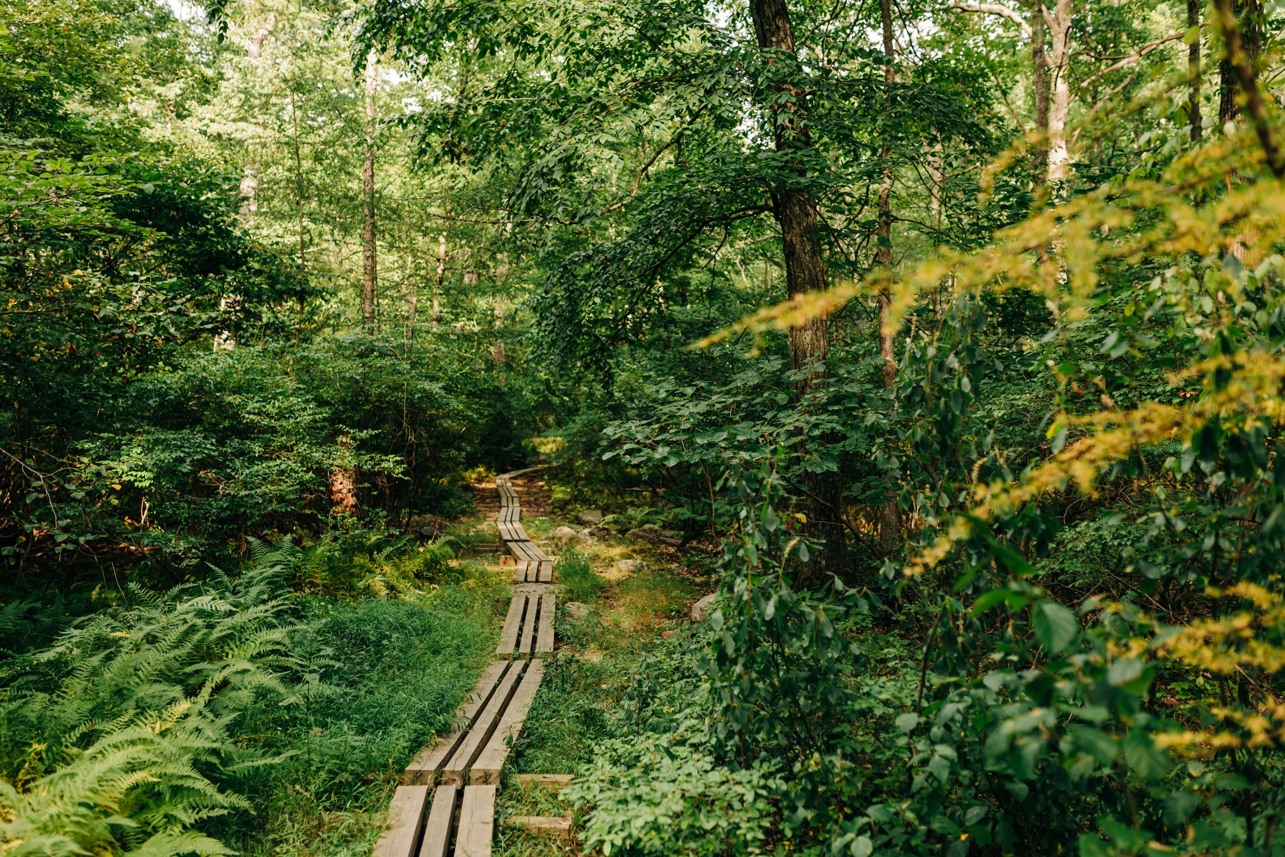Aug. 21, 2022. AMC Mohican Outdoor Center, Delaware Water Gap National Recreation Area, New Jersey-- Photo by Corey David Photography. Corey David Photography