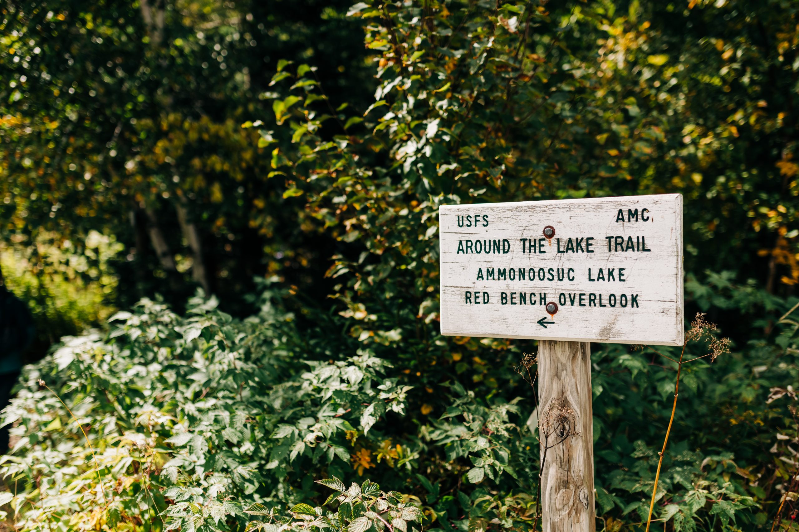 Sept. 24, 2022. Around the Lake Trail, Crawford Notch, White Mountain National Forest, NH-- AMC's FallFest. Photo by Corey David. Corey David Photography