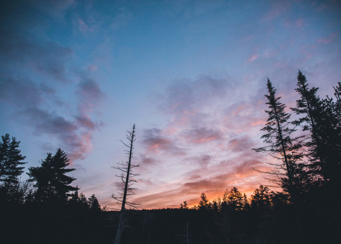 Jan. 26, 2019. AMC Little Lyford Lodge and Cabins, Maine Woods, Maine-- Photo by Paula Champagne. Paula Champagne